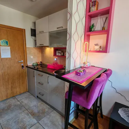 Zlatiborski Konaci K2-spa & Wellness Apartament Zlatibor